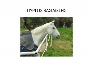 filoi-2014_Page_13