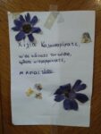 IMG_20231214_122739